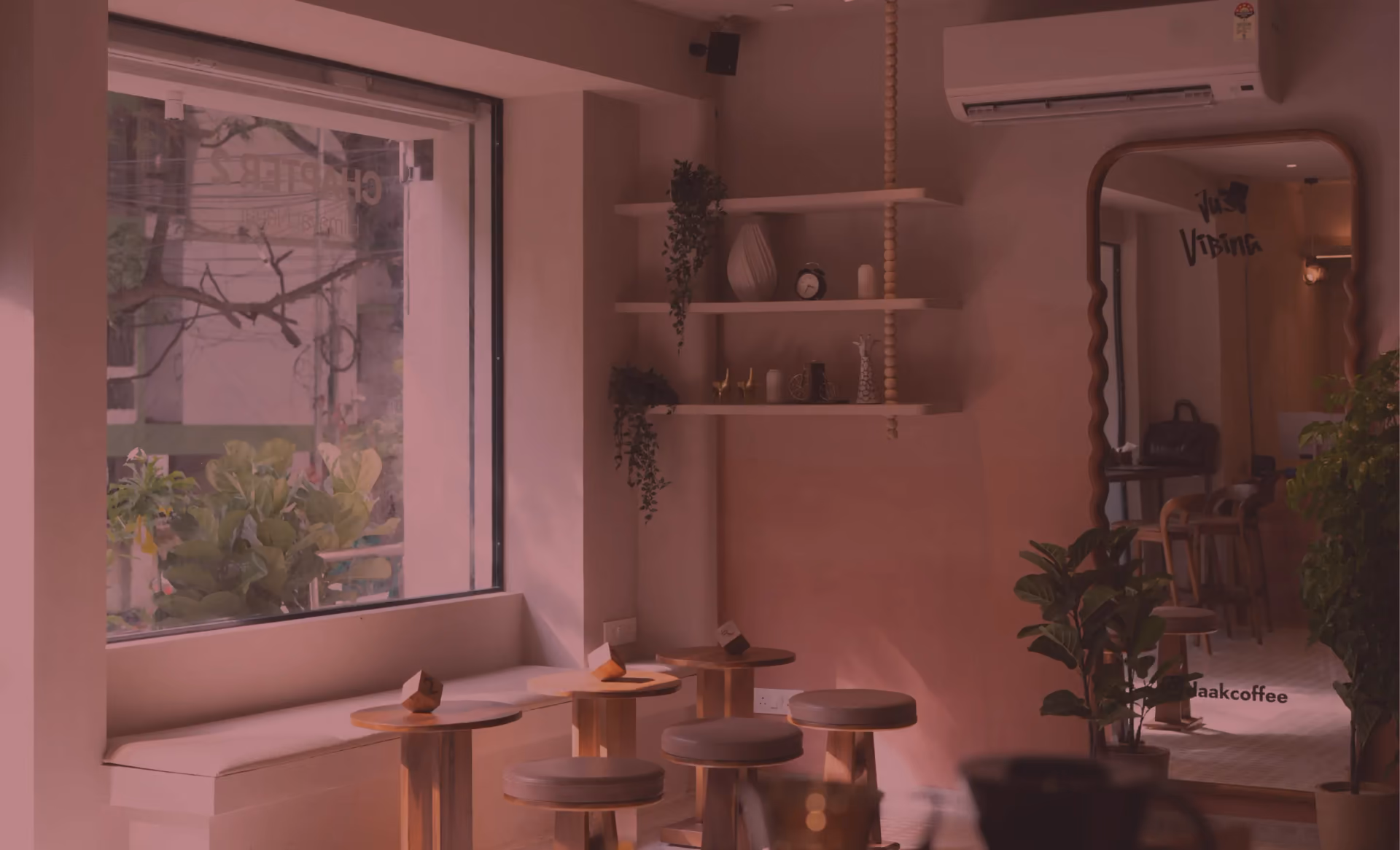 Inside Daak Coffee House, with window seating, wooden stools and plants in soft daylight
